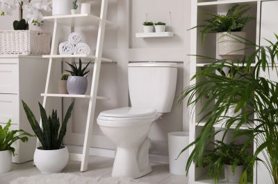 Broken Toilet Repair in Denver, CO