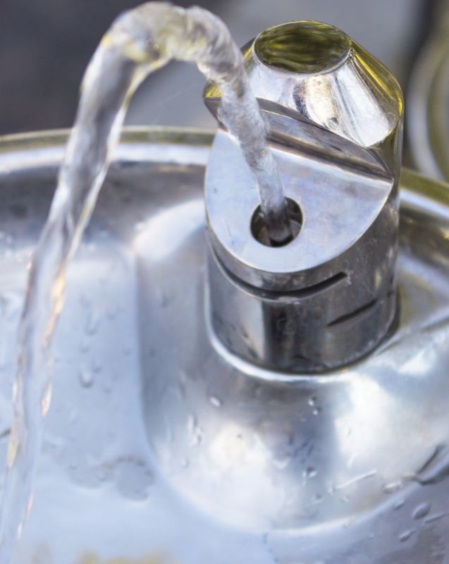 Drinking Fountain Maintenance in Carson City, NV